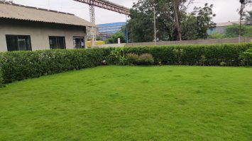Ankleshwar (1)