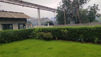Ankleshwar (11)