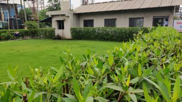 Ankleshwar (12)