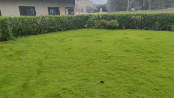 Ankleshwar (13)