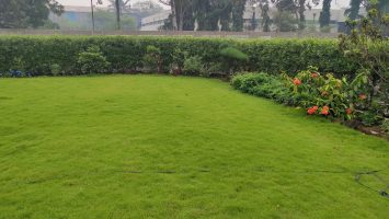 Ankleshwar (19)