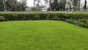 Ankleshwar (23)
